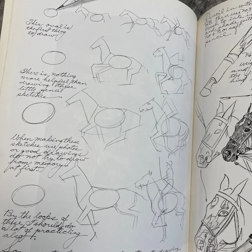 How to Draw Horses Art‎ Instruction Book White Sketch Walter Foster